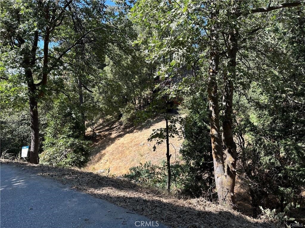 24960 Saxon Drive