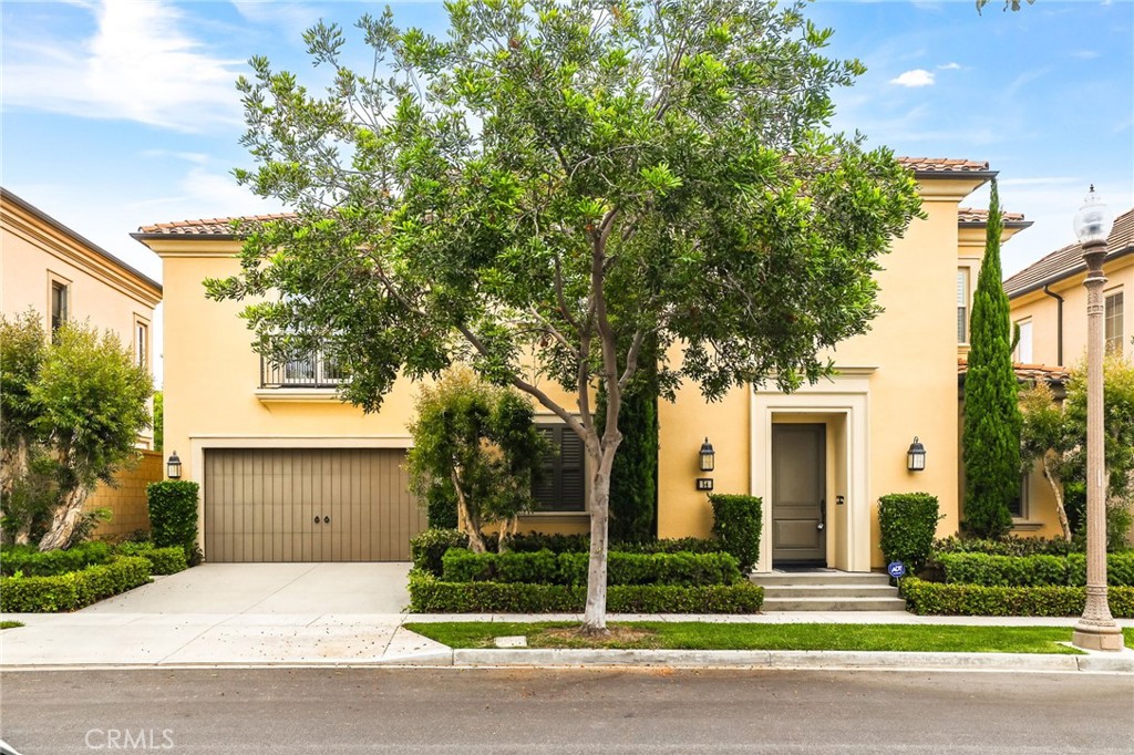 54 Sycamore