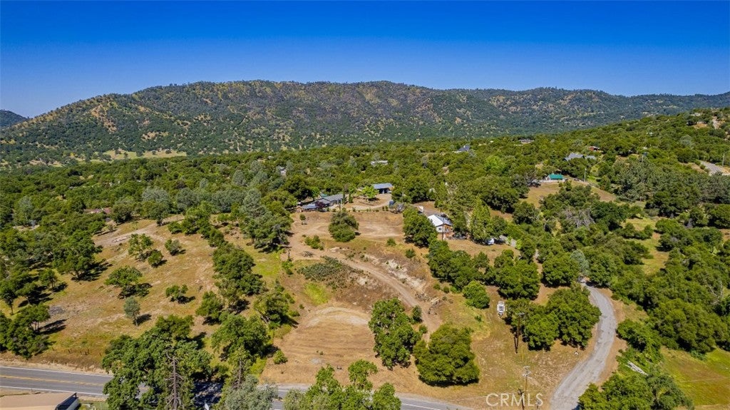 42514 Highway 49