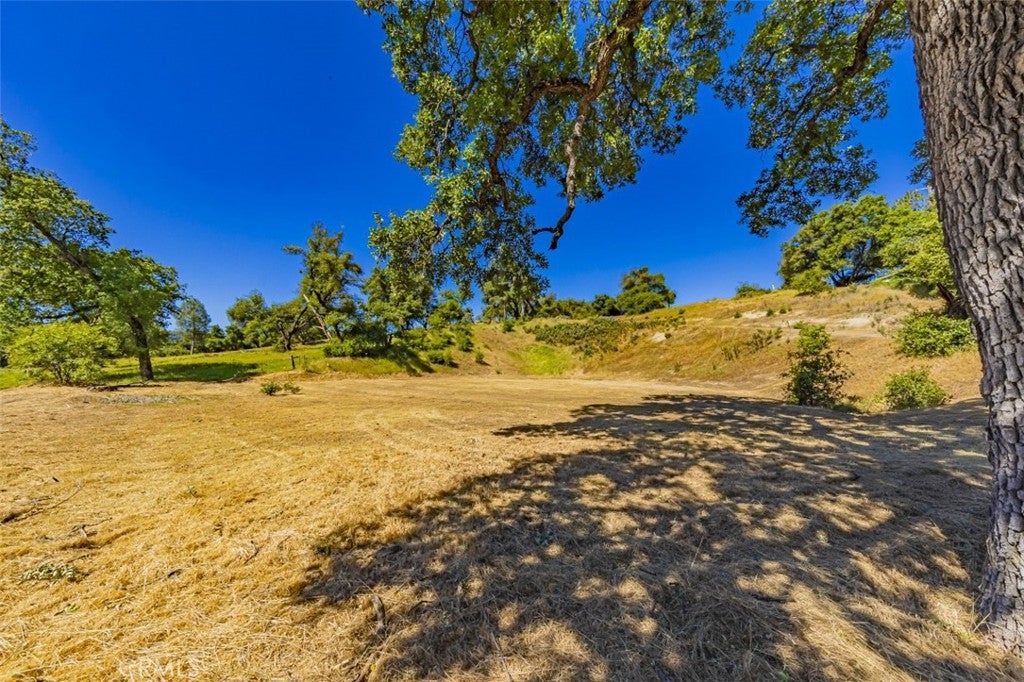 42514 Highway 49