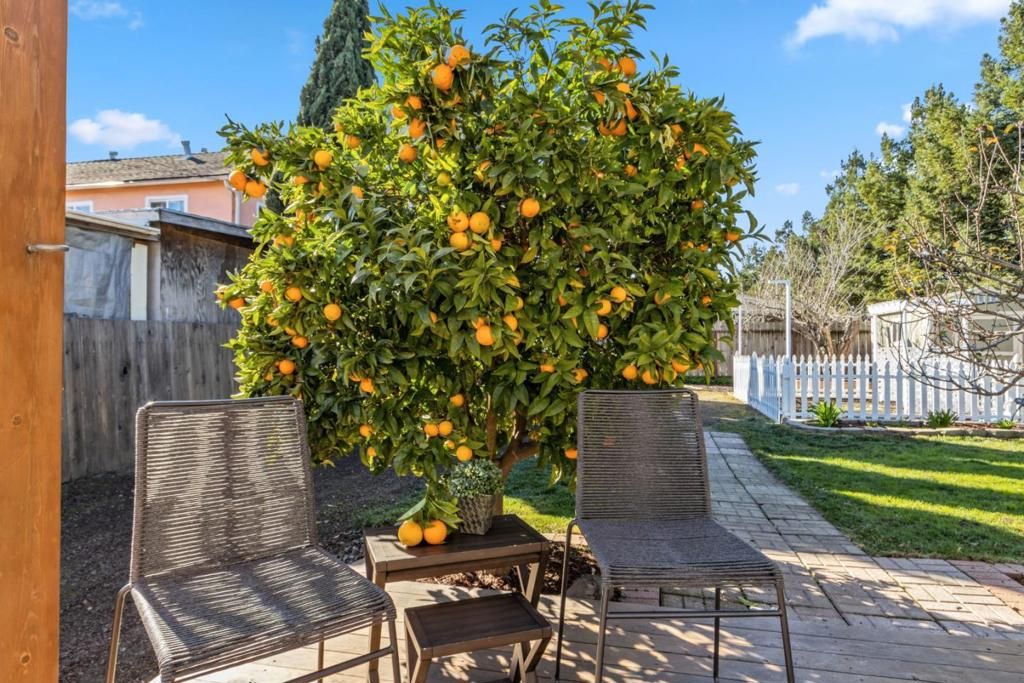 listing image 130722069048389738201