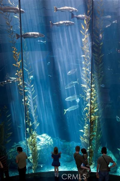 Villa Riviera (VLR) - Residential