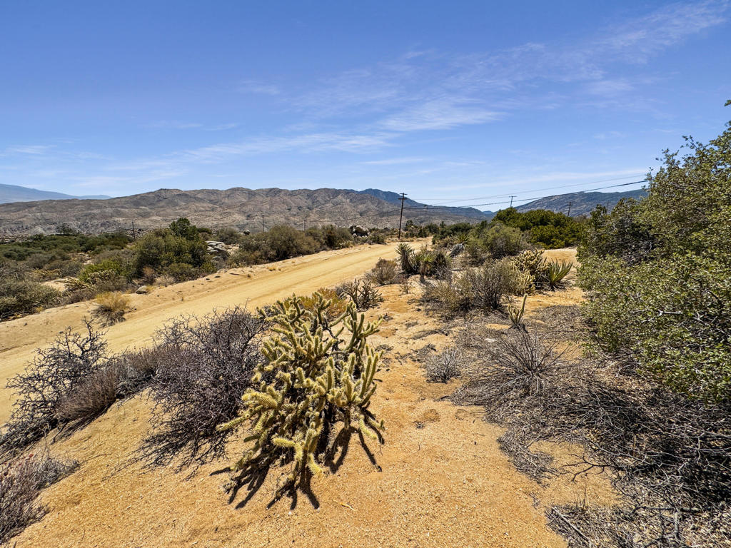 Pinyon Crest - Land