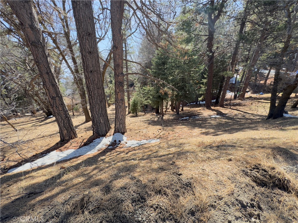 Running Springs (RUSG) - Land