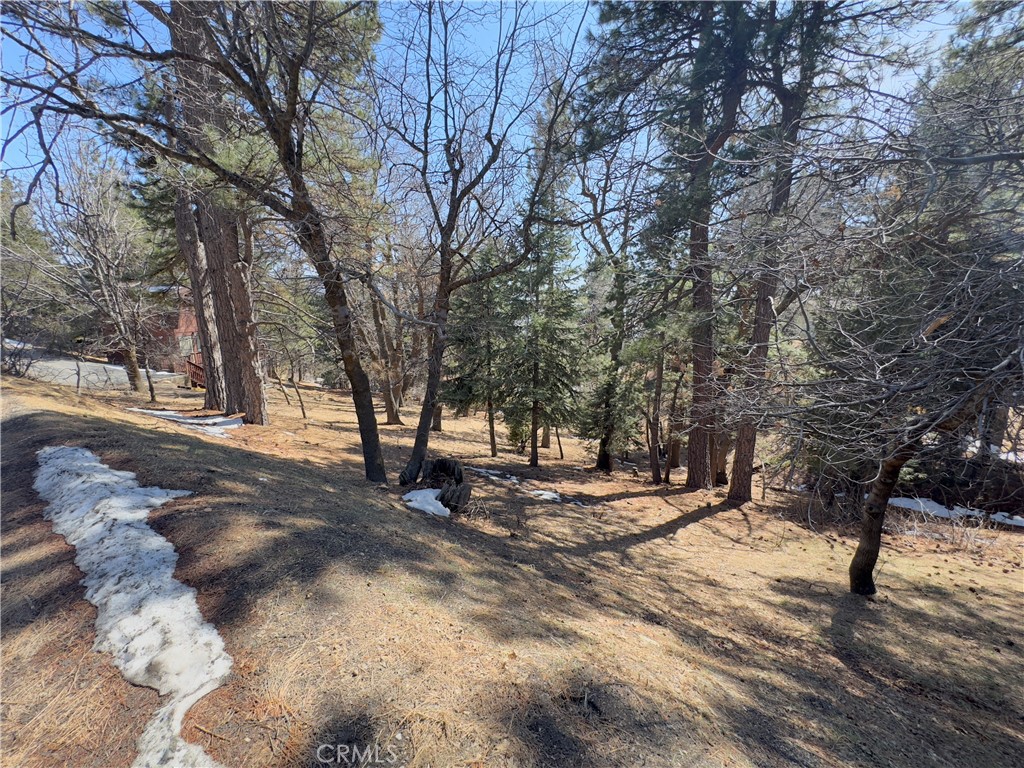 Running Springs (RUSG) - Land