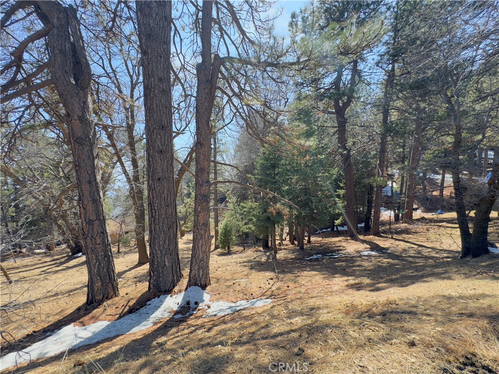 Running Springs (RUSG) - Land