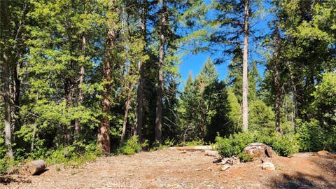 Photo of 11157 Breezy Boulevard, Clipper Mills, CA 95930 (MLS # OR26172069)