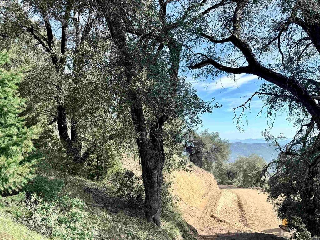 32900 South Grade Road