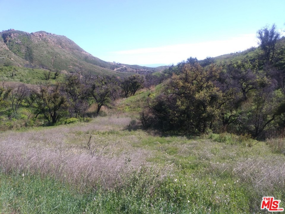 2517 Encinal Canyon Road