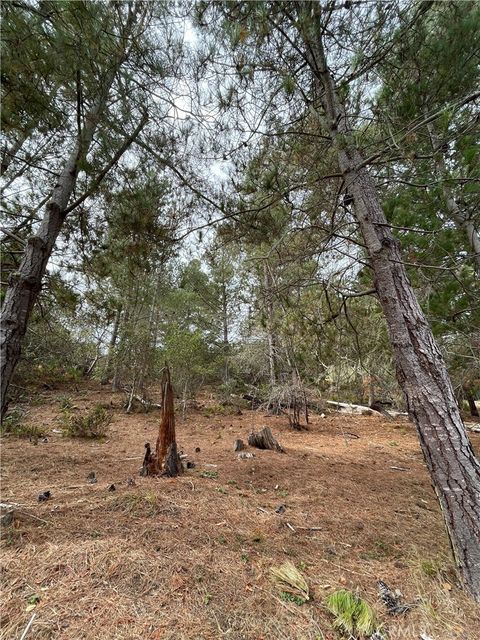 Tiny photo for 1955 Avon Avenue, Cambria, CA 93428 (MLS # SC25234126)