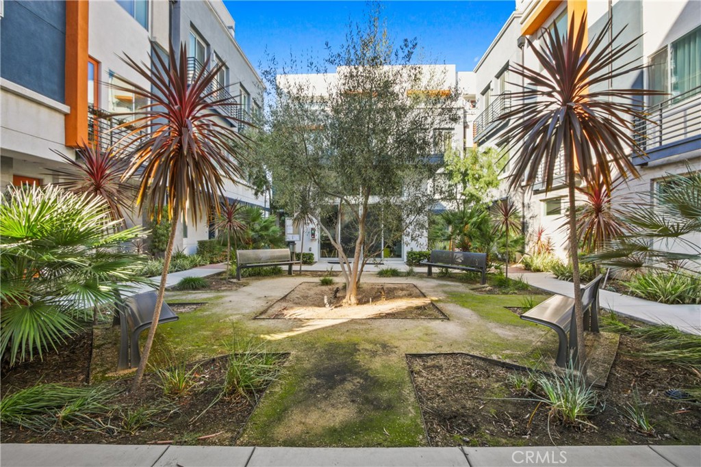 Downtown (DT) - Residential