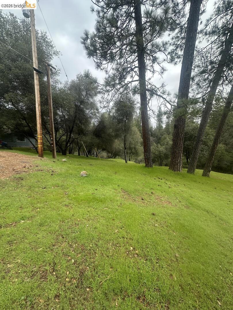 13095 Fox CT