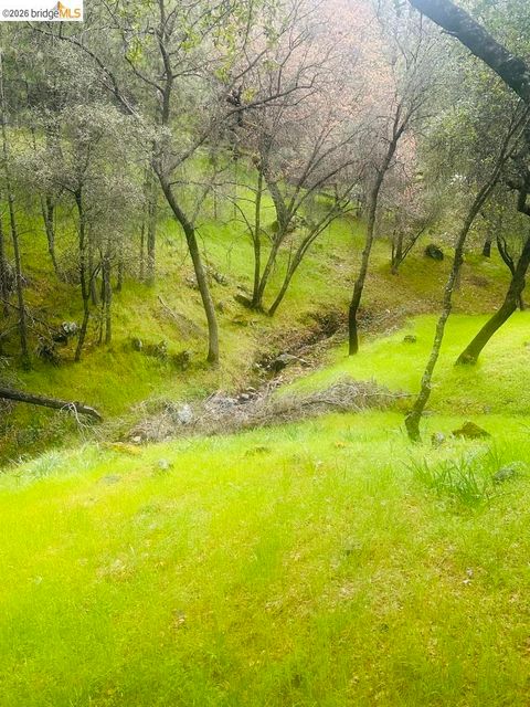 Photo of 13095 Fox CT Ct, Groveland, CA 95321 (MLS # 41135909)