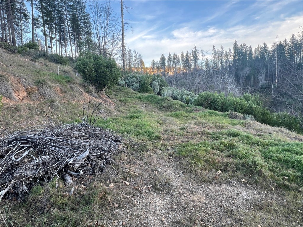 16709 Starview Loop
