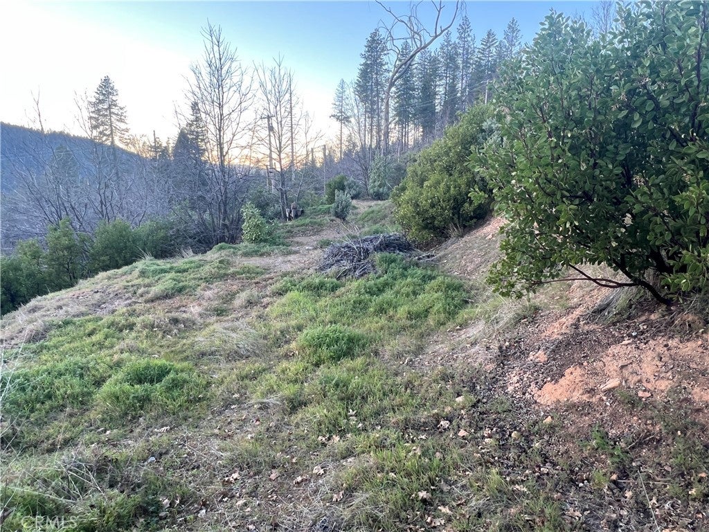 16709 Starview Loop