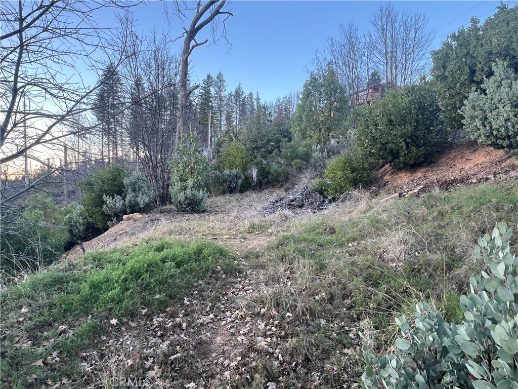 16709 Starview Loop