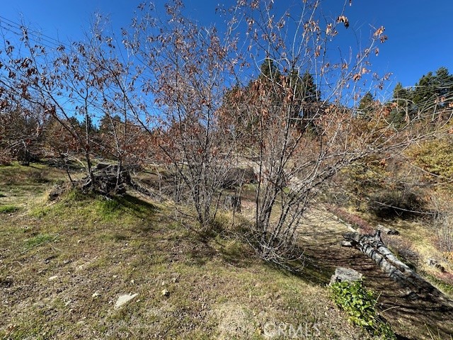 2379 Chicago Drive