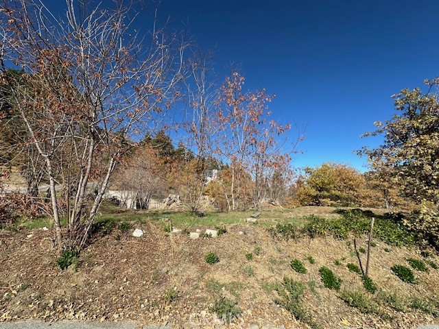 2379 Chicago Drive