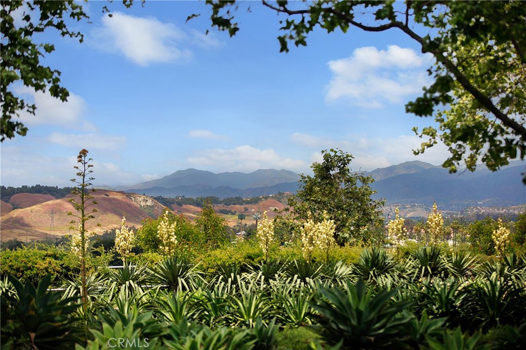 Branches (BRAN) - Residential