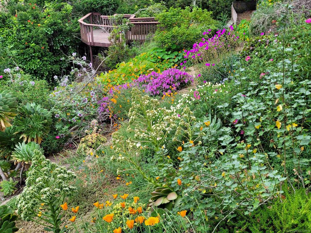 La Jolla - Residential