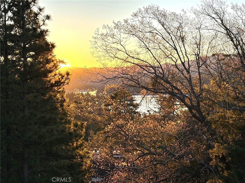 Arrowhead Woods (AWHW) - Residential