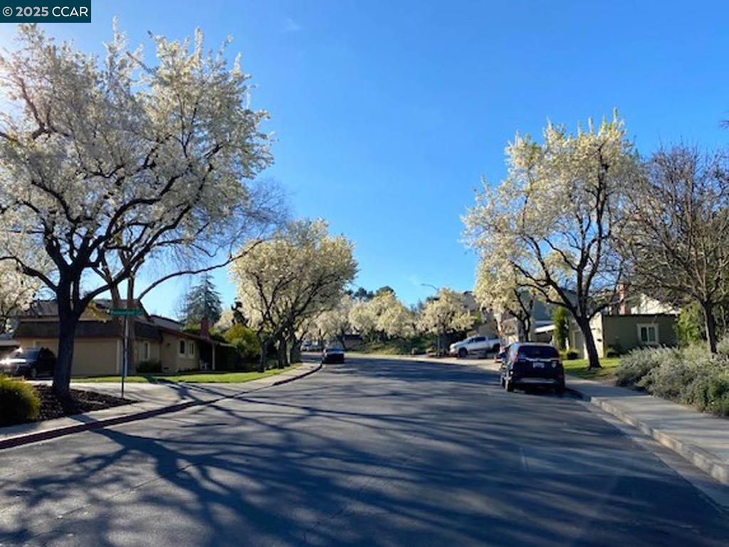 1105 Westmoreland Circle
