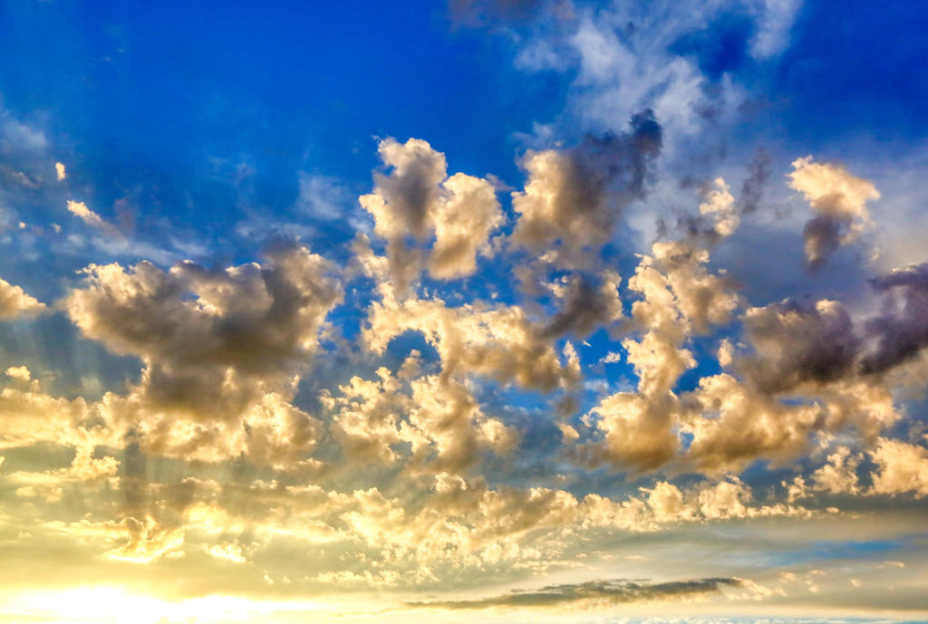 The Mesa - Residential