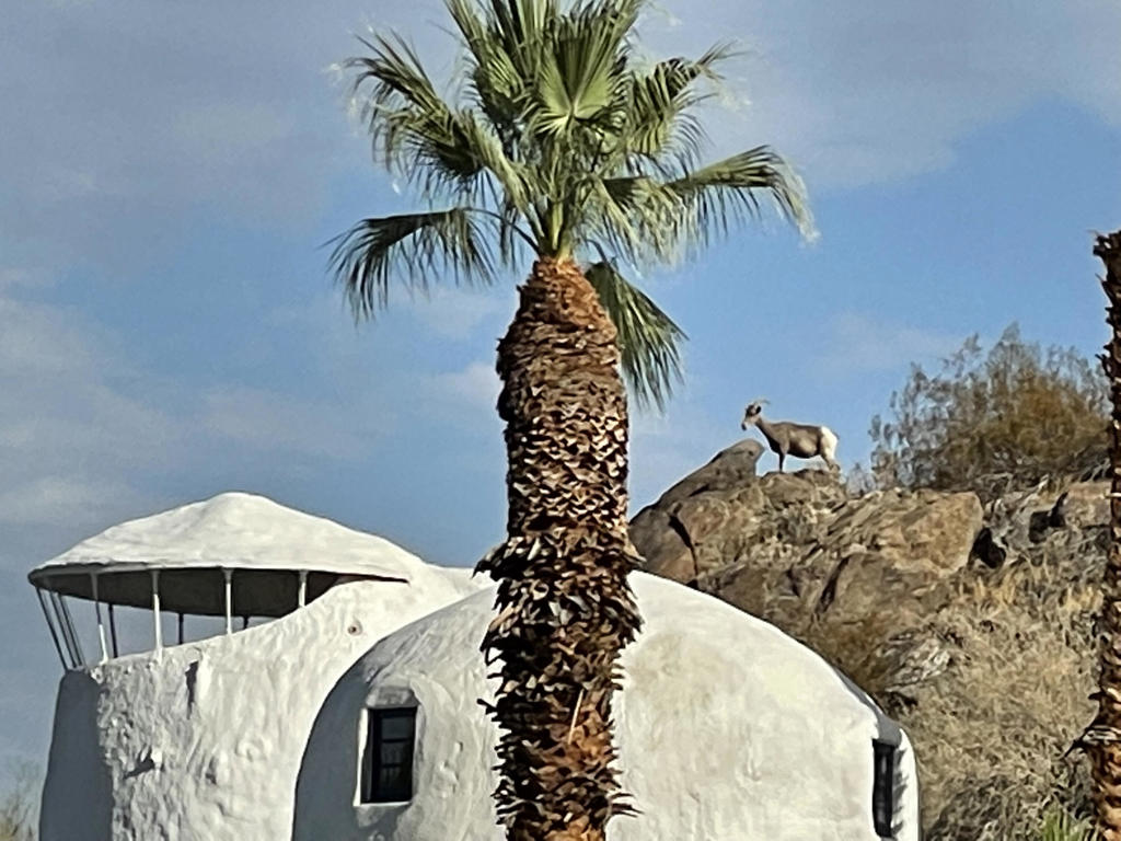 The Mesa - Residential