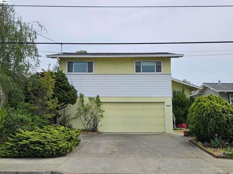 Photo of 18758 Crane Ave Ave, Castro Valley, CA 94546 (MLS # 41129153)
