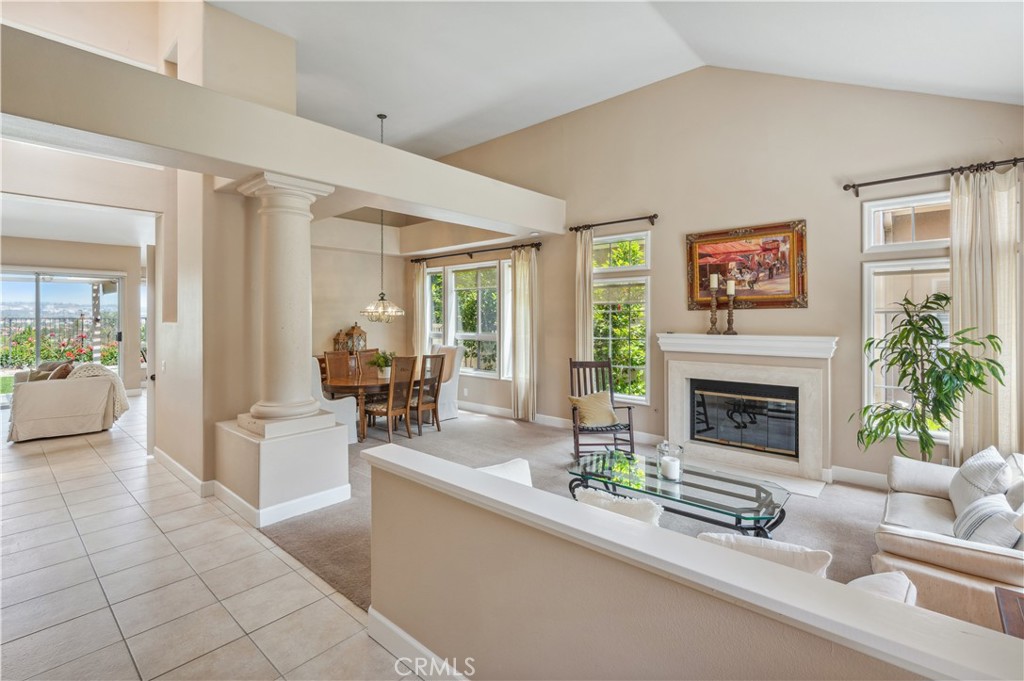 28291 La Plumosa