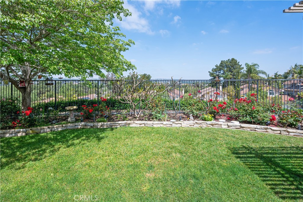 28291 La Plumosa