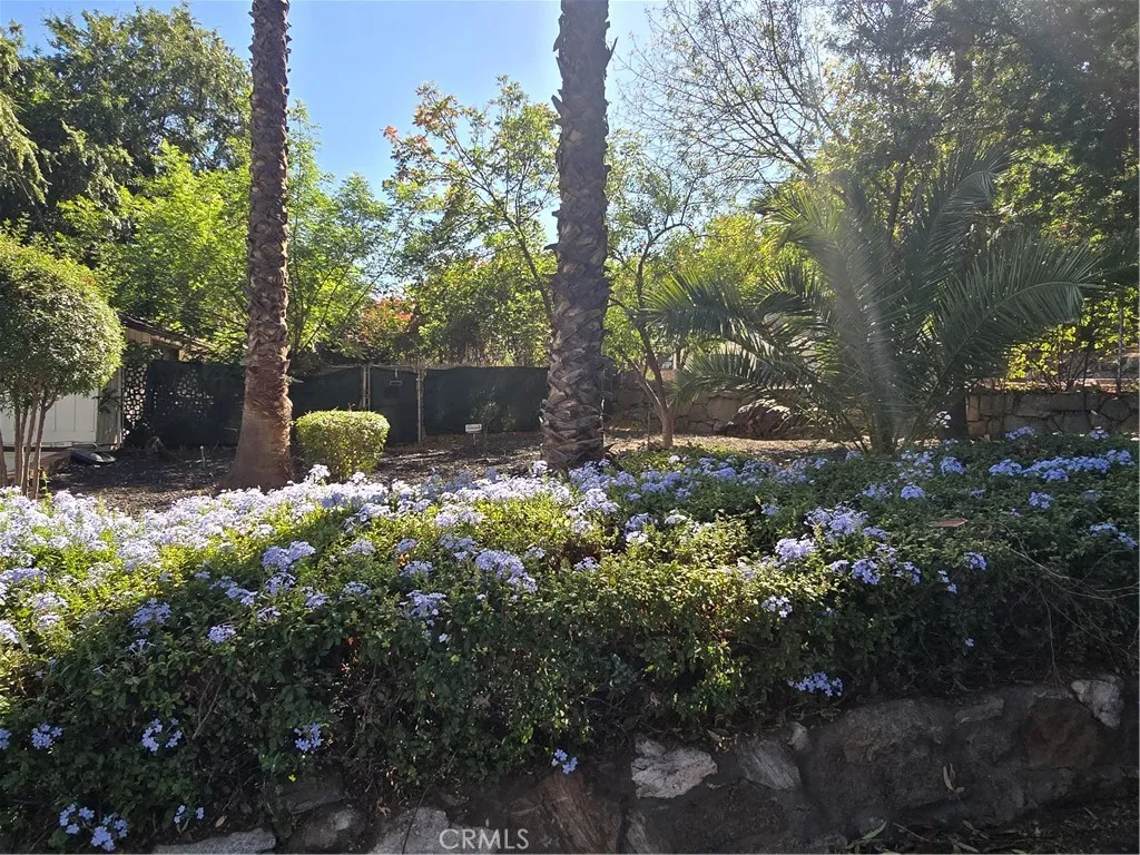 Riverside, California 92501, United States, 4 Bedrooms Bedrooms, ,4 BathroomsBathrooms,Residential,Active,247438