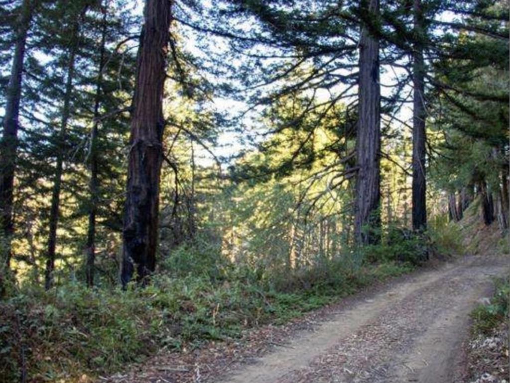 38711 Palo Colorado Road