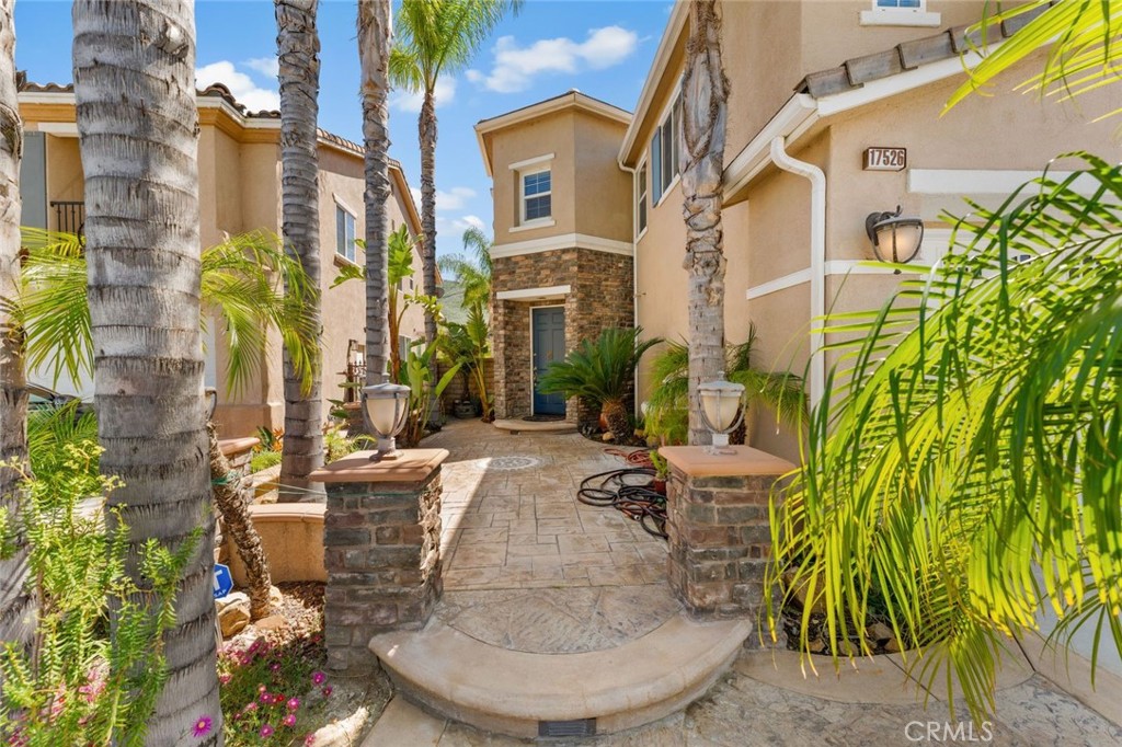 17526 Dove Willow Street