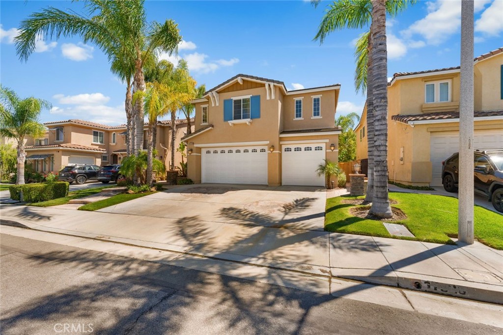 17526 Dove Willow Street