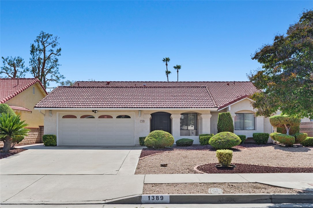 1389 Pepper Tree