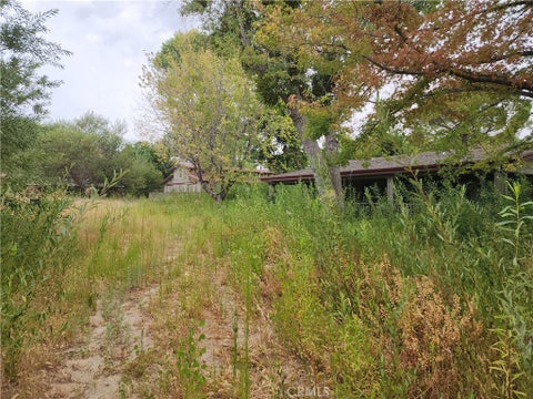 Photo of 43717 Lake Hughes Road, Lake Hughes, CA 93532 (MLS # SR26197502)
