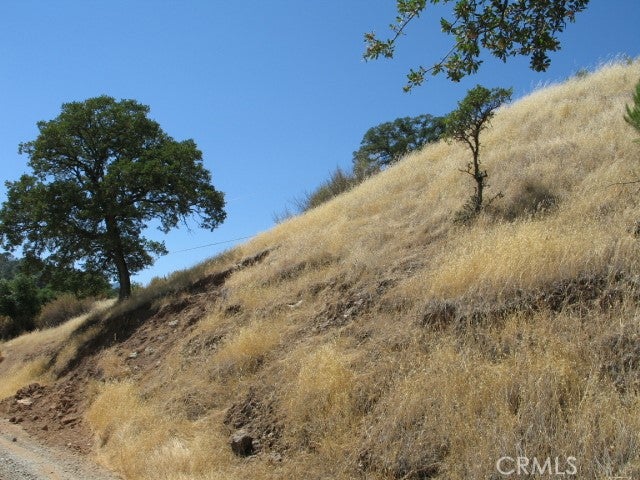 12414 Mountain View Drive