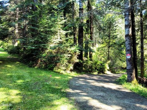 Photo of 44551 Raven Lane, Mendocino, CA 95460 (MLS # C1-10976)