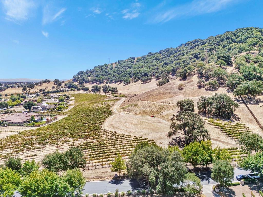 1322 Lions Peak Lane