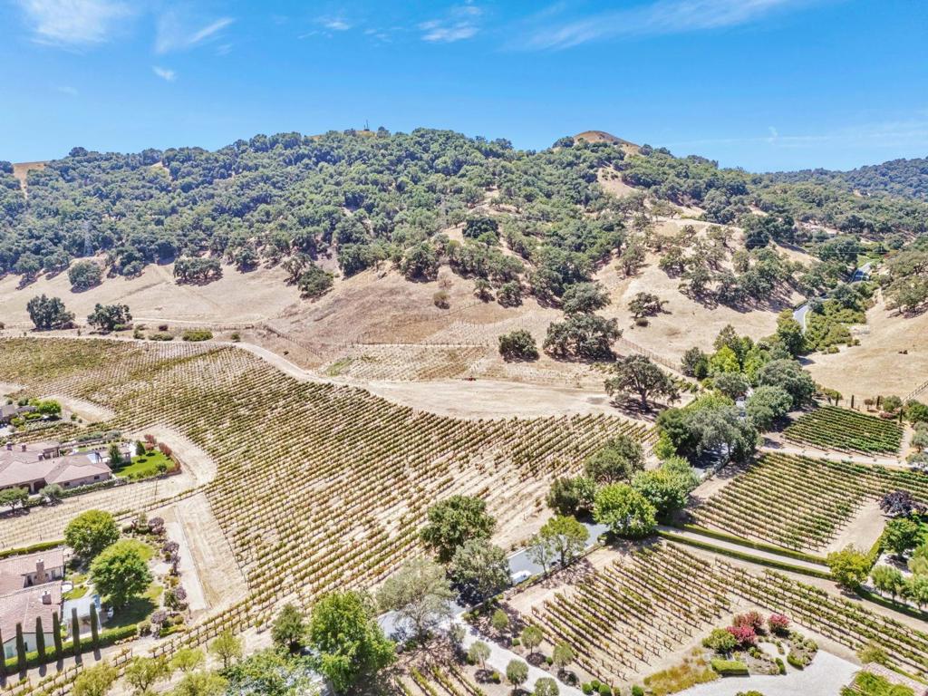 1322 Lions Peak Lane