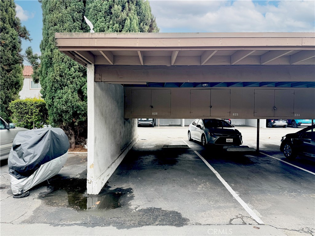 2511 W Sunflower F11