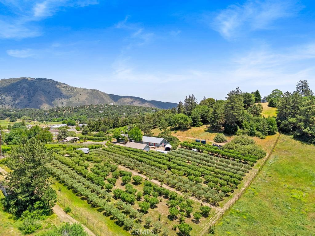 Apple Lane Orchard is one of very few parcels having a Major Use Permit from San Diego County which could allow multiple commercial and residential uses. A rare fusion of lifestyle and legacy await you. Set on 9.42+/- lush, usable acres, this historic orchard features nearly 1,000± heirloom apple trees—some over 40 years old—nurtured with organic practices and supported by two wells and 10,000 gallons of water storage. ~ The 1,935± sq. ft. single-level main home offers privacy and sweeping views of the Volcan Mountain Range. It offers 3 bedrooms, 2 baths, open-concept living, and generous outdoor spaces including a wraparound veranda and garden-lined courtyard—perfect for relaxation, entertaining, or vacation rental. Beyond its residential charm, Apple Lane offers agribusiness potential. A 2,000± sq. ft. warehouse houses an approved cidery production facility with walk-in refrigeration and traditional pressing equipment. While the business itself is not for sale, the infrastructure invites the next owner to continue—and expand—Julian’s most recognized cider legacy. Additional improvements include a 1,200± sq. ft. detached multi-purpose building ideal for a tasting room or creative use, a workshop with an upper-level studio apartment, and multiple outbuildings for flexible use. The orchard’s scenic setting also makes it an ideal venue for events, U-Pick experiences, or Farm-to-Table gatherings. Located within Julian’s downtown historic district yet worlds away in peace and privacy. Apple Lane Orchard is a turnkey opportunity to live, grow, and thrive in San Diego County’s most iconic mountain town.