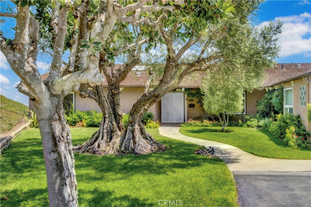 31222 Flying Cloud Drive
