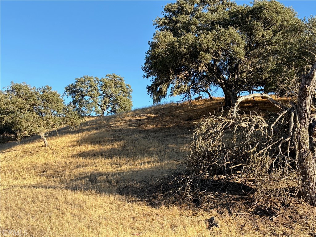 This beautiful ±2-acre parcel (Lot 140) offers a great opportunity to own land in the serene, undeveloped area of Ground Squirrel Hollow, just east of Paso Robles. Per Seller, the lot is located approximately 600+/- feet from the end of a freshly paved road, and may be accessed via Maverick Way through a chain fence. Positioned on the right-hand side, the lot boasts sweeping westside views and truly breathtaking sunsets—creating a setting that may offer possibilities for future vision or holding as a long-term investment with the land being sold as is. Survey available.