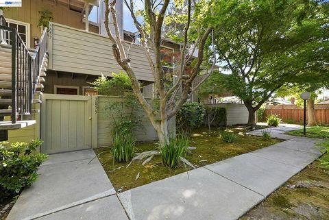 Photo of 3855 Panda Pl Pl, San Jose, CA 95117 (MLS # 41131471)