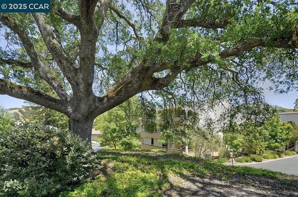 ROSSMOOR - Residential