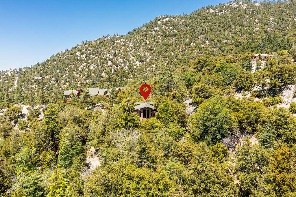54950 Forest Haven Drive