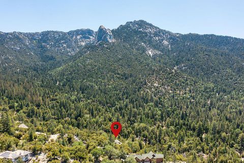 Photo of 54950 Forest Haven Drive, Idyllwild, CA 92549 (MLS # 219136930DA)