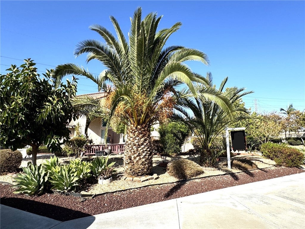11451 Caraway Court